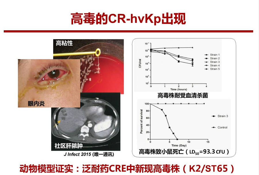 圖片.png
