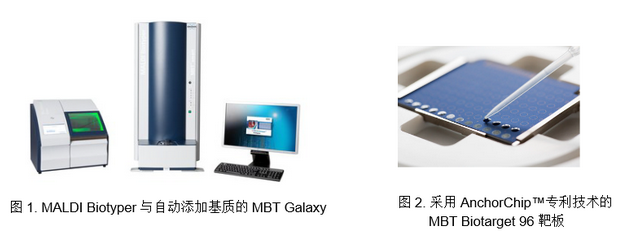 圖片.png
