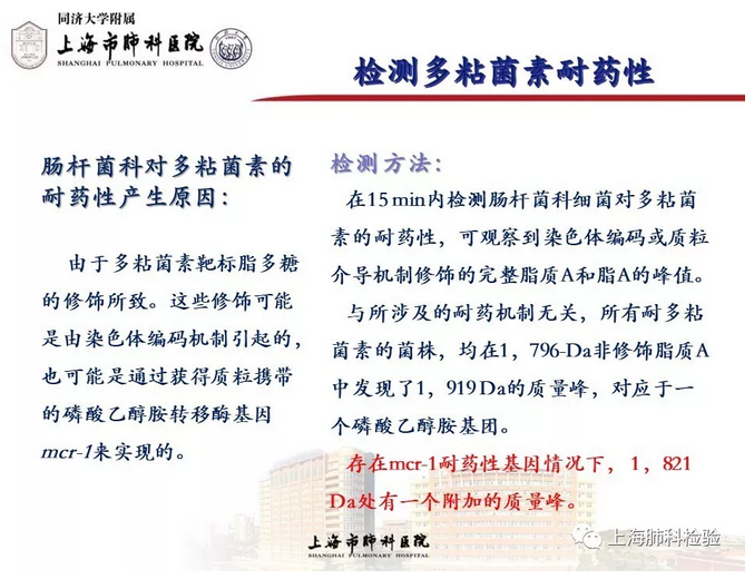 圖片.png