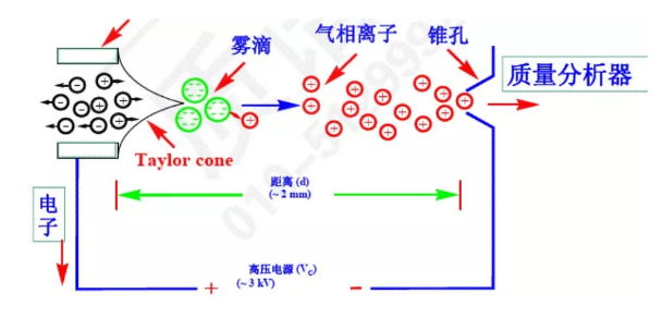 圖片.png