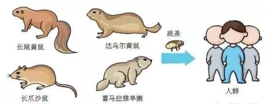 圖片.png